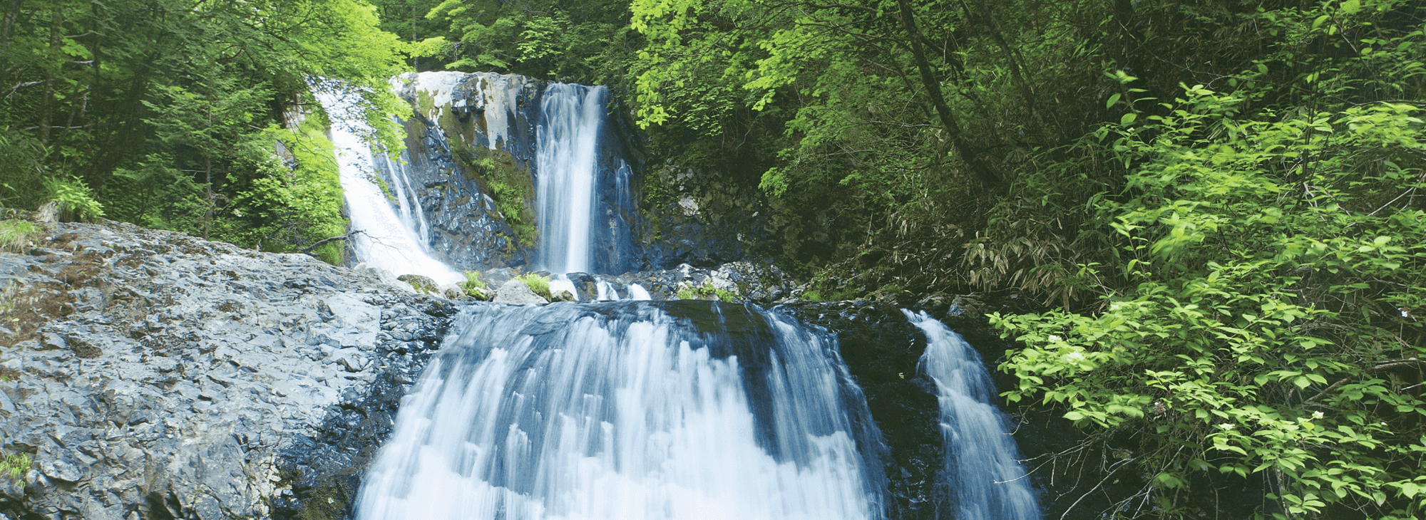 長野県木曽町 春の景色