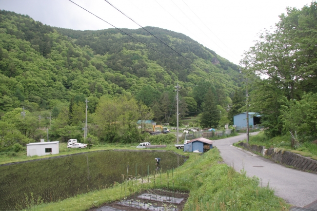 小沢の石作駒石墓地