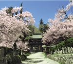 徳音寺